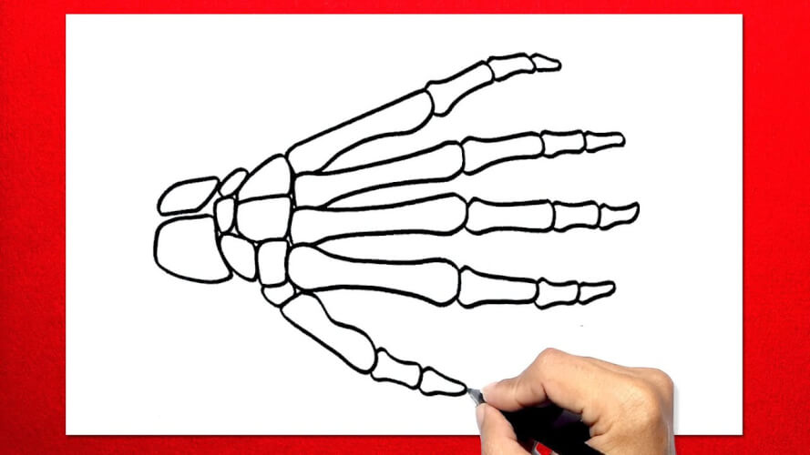 Skeleton Hand Drawing