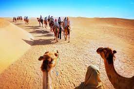Why You Should Plan Rajasthan Tour in Winters?