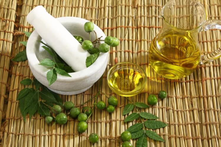 The Amazing Health Benefits Of Neem For Men